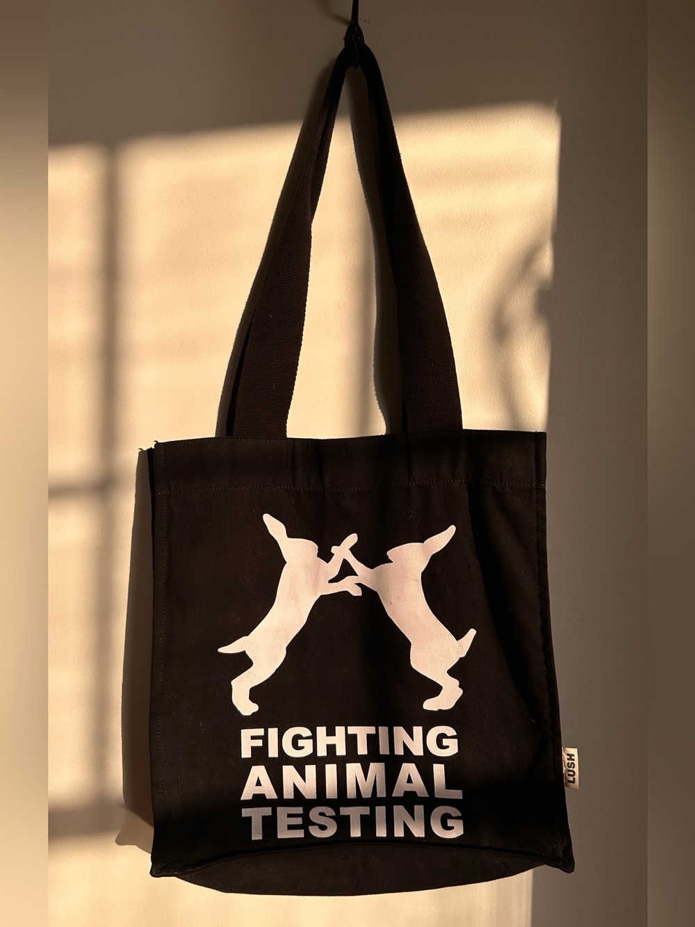 LUSH ORGANIC COTTON CANVAS TOTE BAG